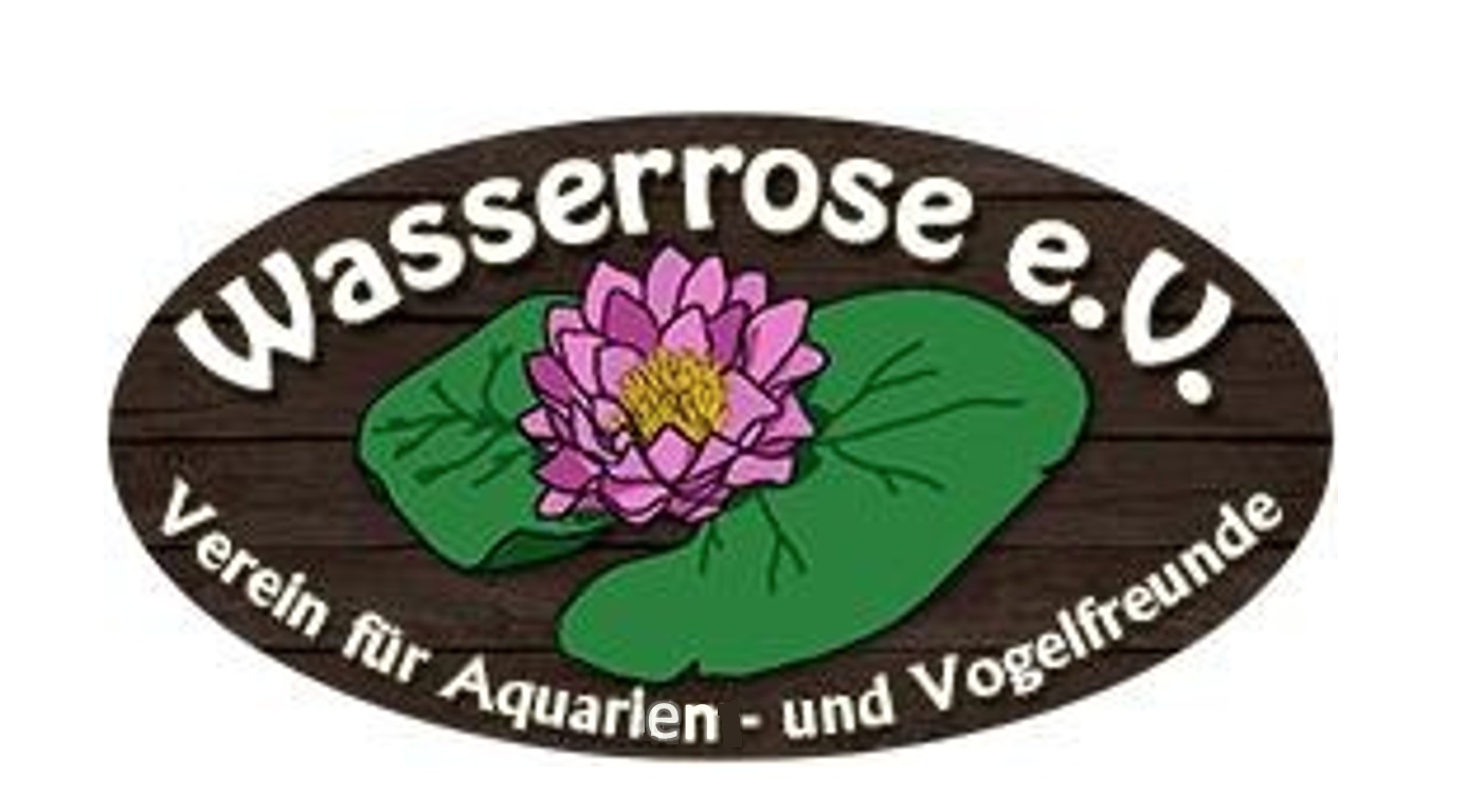 Wasserrose e.V. – Ingolstadt 